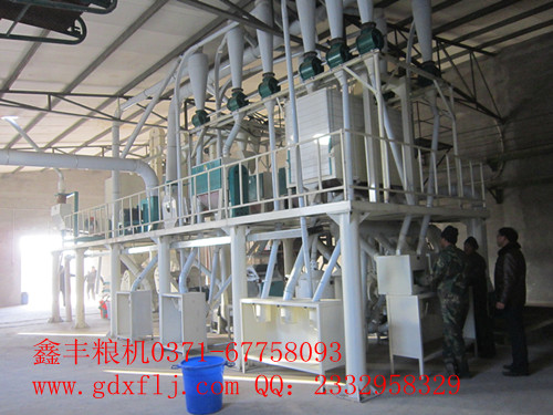 河北衢州客戶50噸玉米糝加工設(shè)備安裝成功