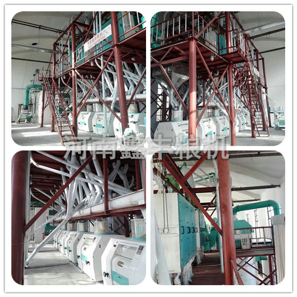 新疆庫爾勒安裝的60噸面粉機設(shè)備現(xiàn)場圖