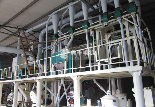 30噸玉米加工設(shè)備